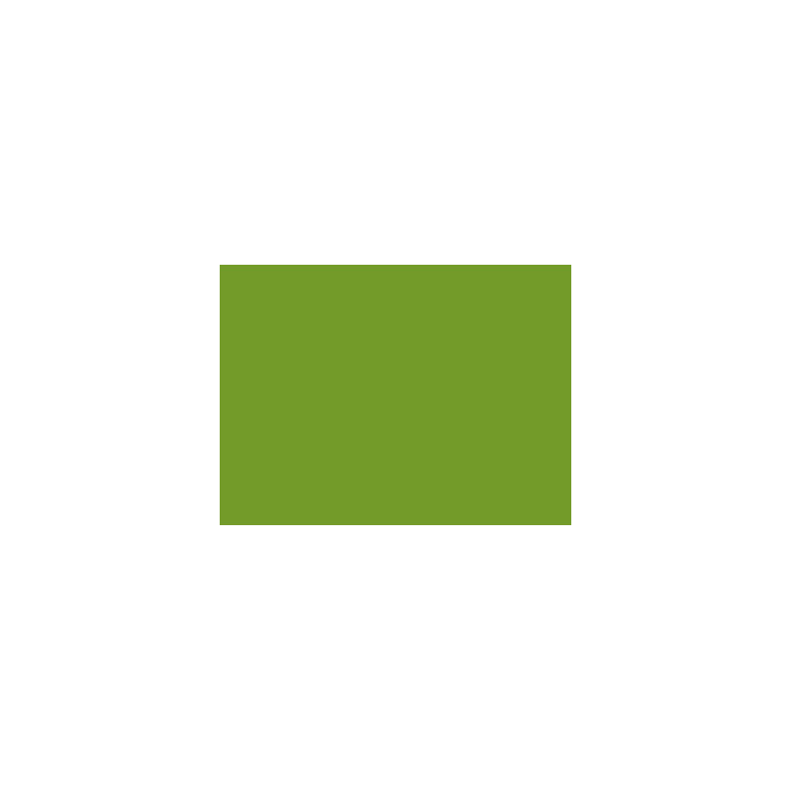 P021 Vert signal (SNCF 317) 30ml