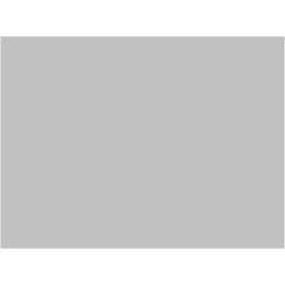 P030 Gris Rocaille 847 SNCF