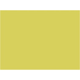 P711 Jaune STIB