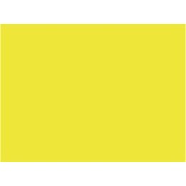 P838 Jaune jonquille SNCF 401