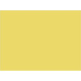 P894 Jaune paille RGP (SNCF 410)