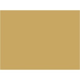 P889 Jaune beige EWS