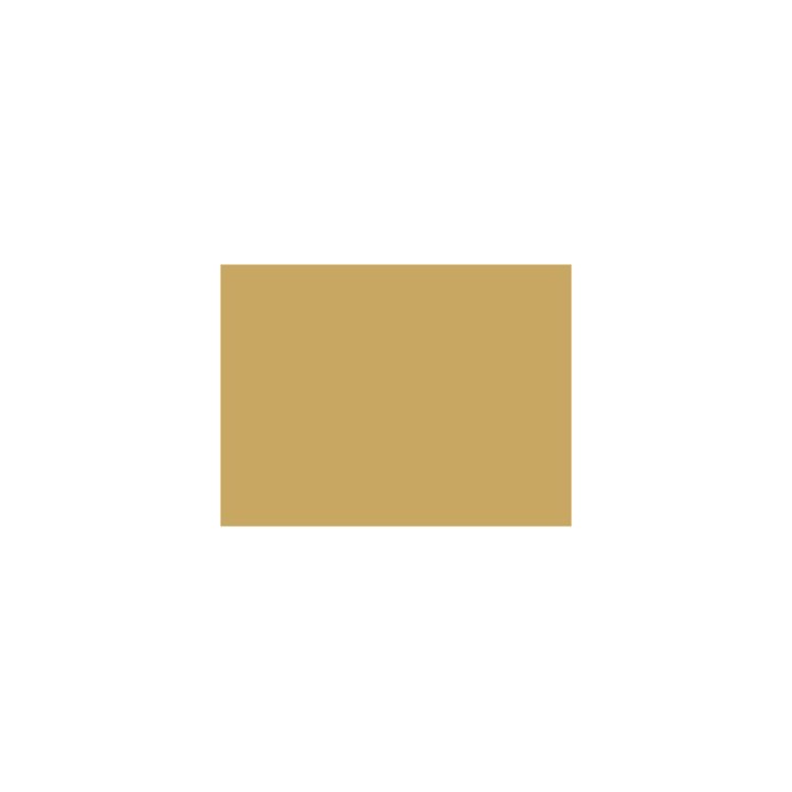 P889 Jaune beige EWS