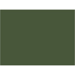 P827 Vert Olive ( P.L.M / Ouest)
