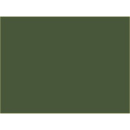 P860 Vert Garrigue / Vert 160" (SNCF 302)"