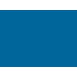 P717 Bleu "Gordini" (CFD CC80001)"