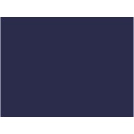 P828 Bleu Nuit CIWL (SNCF 202)