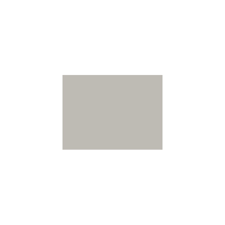 P718 Gris argent (SNCF 806)