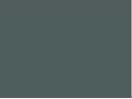 P819 Gris minéraliers SGW