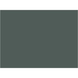 P842 Gris ardoise (SNCF 807)