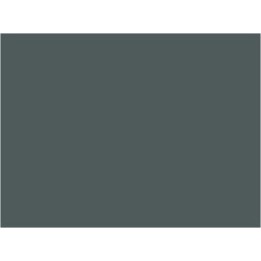 P865 Gris orage (SNCF 844)