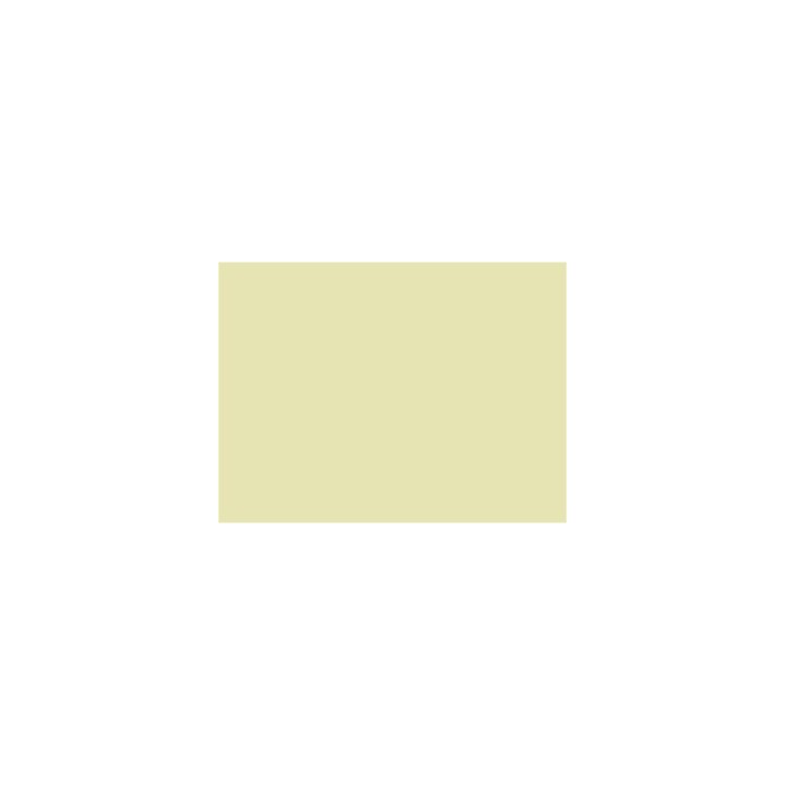 P733 Gris beige clair (SNCF 805)