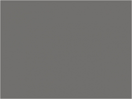 P037 gris titane métalisé (SNCF 890)