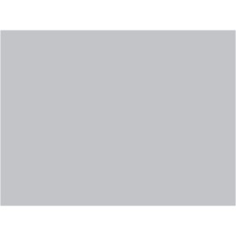 P748 Gris VFLI