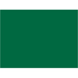 P050 vert moyen (SNCF 303)