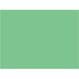 P055 vert jade RATP
