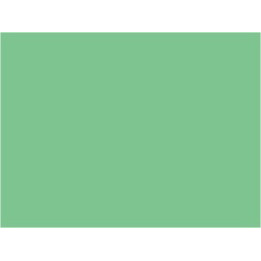 P755 vert jade RATP