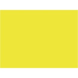 P057 Jaune jonquille délavé (SNCF 401) 30ml