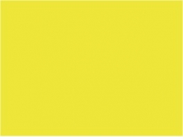 P057 Jaune jonquille délavé (SNCF 401) 30ml