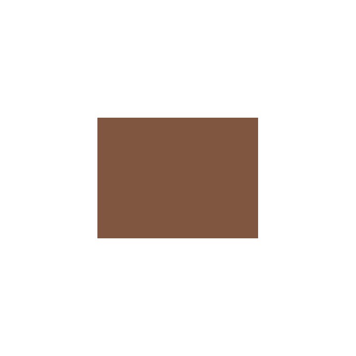 P089 brun wagons DB et NS RAL8012