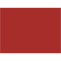 P905 rouge vif (SNCF 601) 20ml