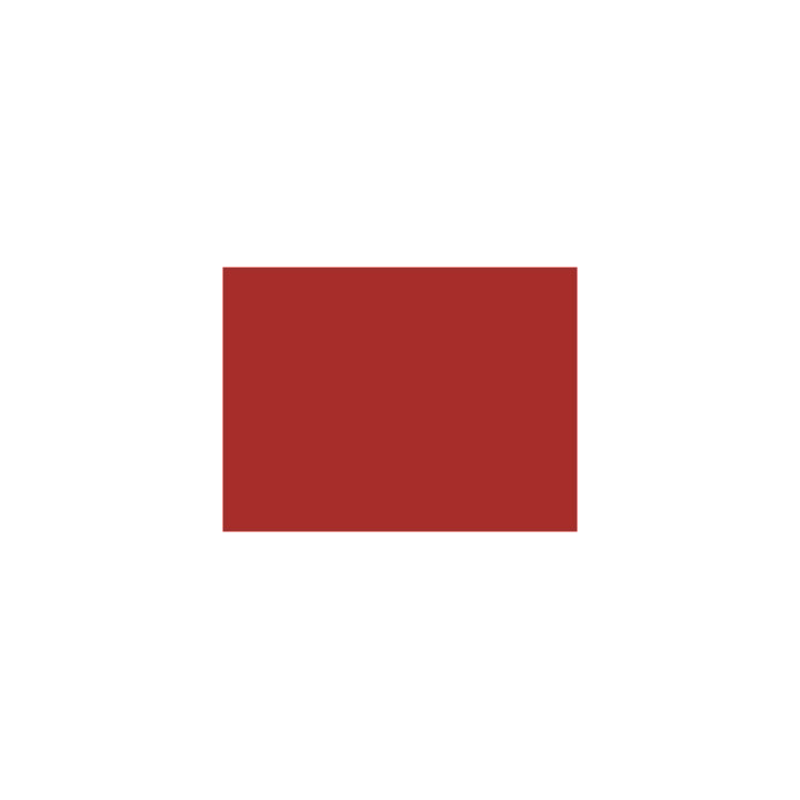 P905 rouge vif (SNCF 601) 20ml