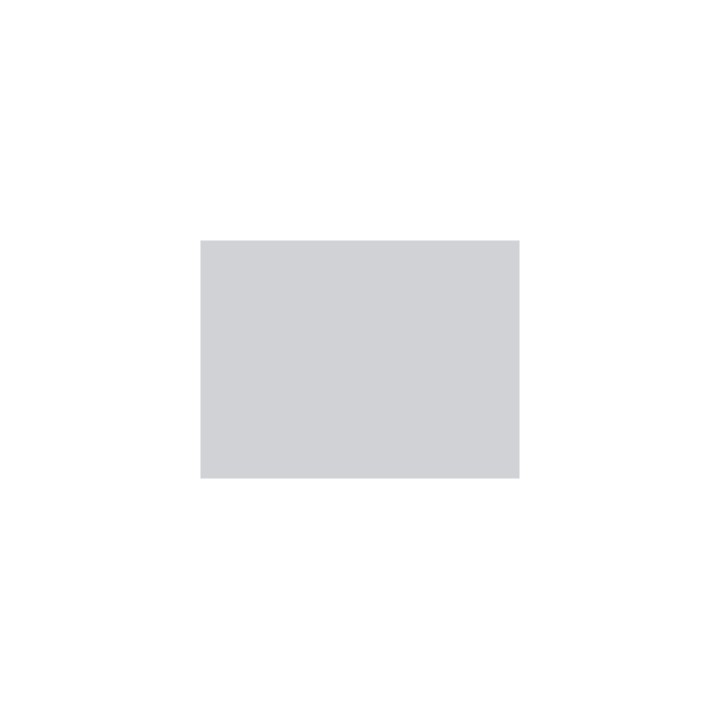 P946 gris ciment (SNCF 804) 20ml