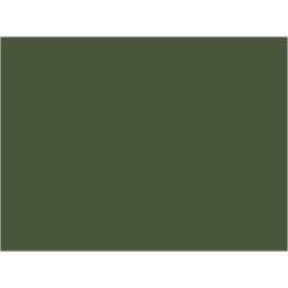 P927 vert olive PLM 20ml hydro