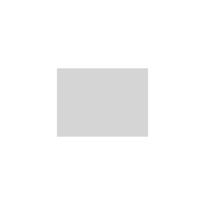 P1036 gris clair Eurostar E300