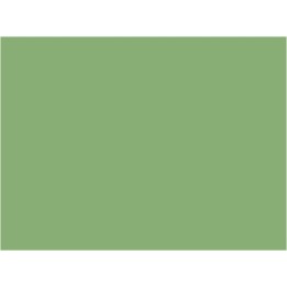 P951 vert olive clair (proche Roco) (SNCF 314) 20ml hydro