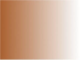 P273 Patine rouille nitrosynthétique bombe 150ml