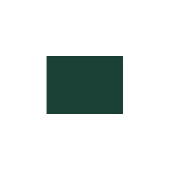 P1059 verde vagone FS 30ml