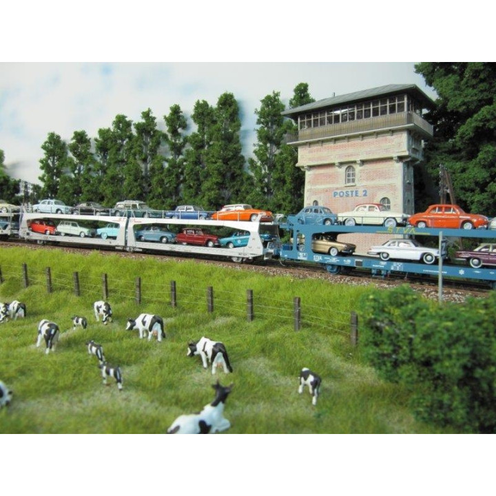 D951 déco pour wagon STVA