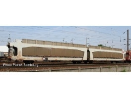 D951 déco pour wagon STVA
