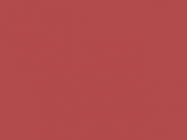 P1067 rouge brique foncé MAT 30ml