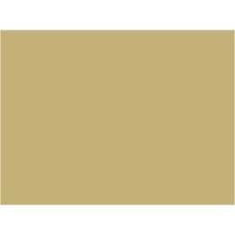 P113 Beige autorail (SNCF 413)  30ml
