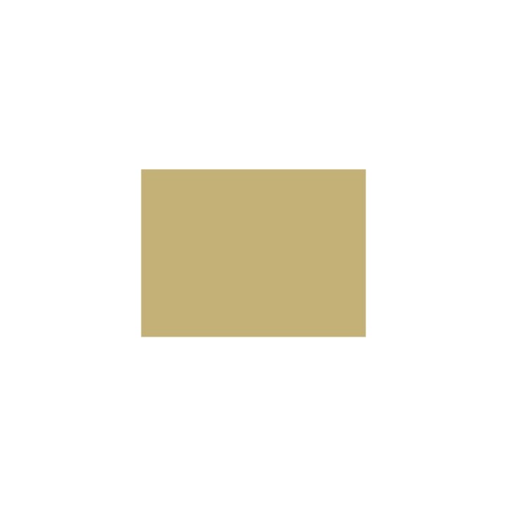 P113 Beige autorail (SNCF 413)  30ml