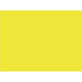 P138 Jaune jonquille (SNCF 401)  30ml
