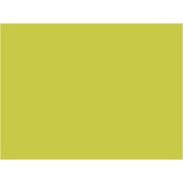 P139 Jaune limon (SNCF 408)  30ml