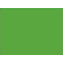 P103 Vert clair locos NORD (origines)  30ml