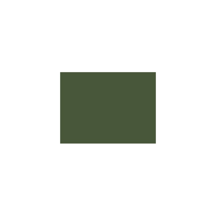 P127 Vert Olive ( P.L.M / Ouest)  30ml