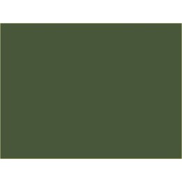 P160 Vert Garrigue / "Vert 160" (SNCF 302)  30ml