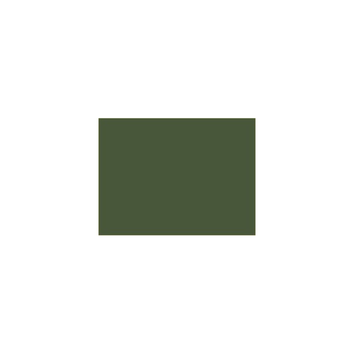 P160 Vert Garrigue / "Vert 160" (SNCF 302)  30ml
