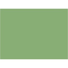P151 Vert RGP (proche Roco) (SNCF 314)  30ml