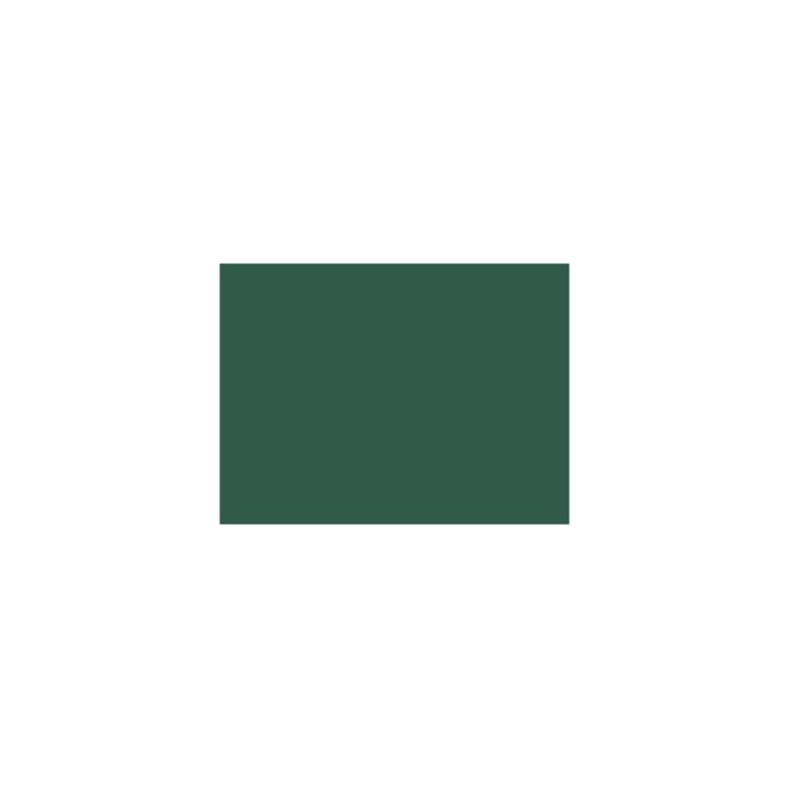 P197 Vert Foncé (SNCF 310) 30ml