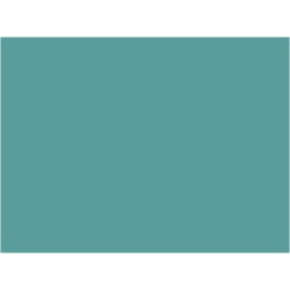 P145 Bleu STVA  30ml
