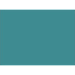 P161 Bleu canard  30ml