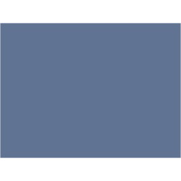 P163 Gris bleuté clair monophasé (SNCF 813)  30ml