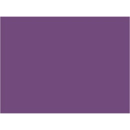 P169 Violet améthyste En Voyage (SNCF 627)  30ml
