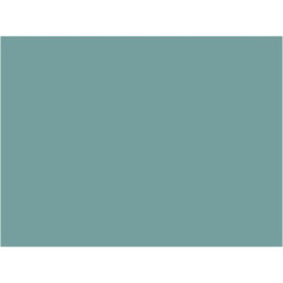 P170 Bleu  Gauloise  2D2 MIDI  30ml